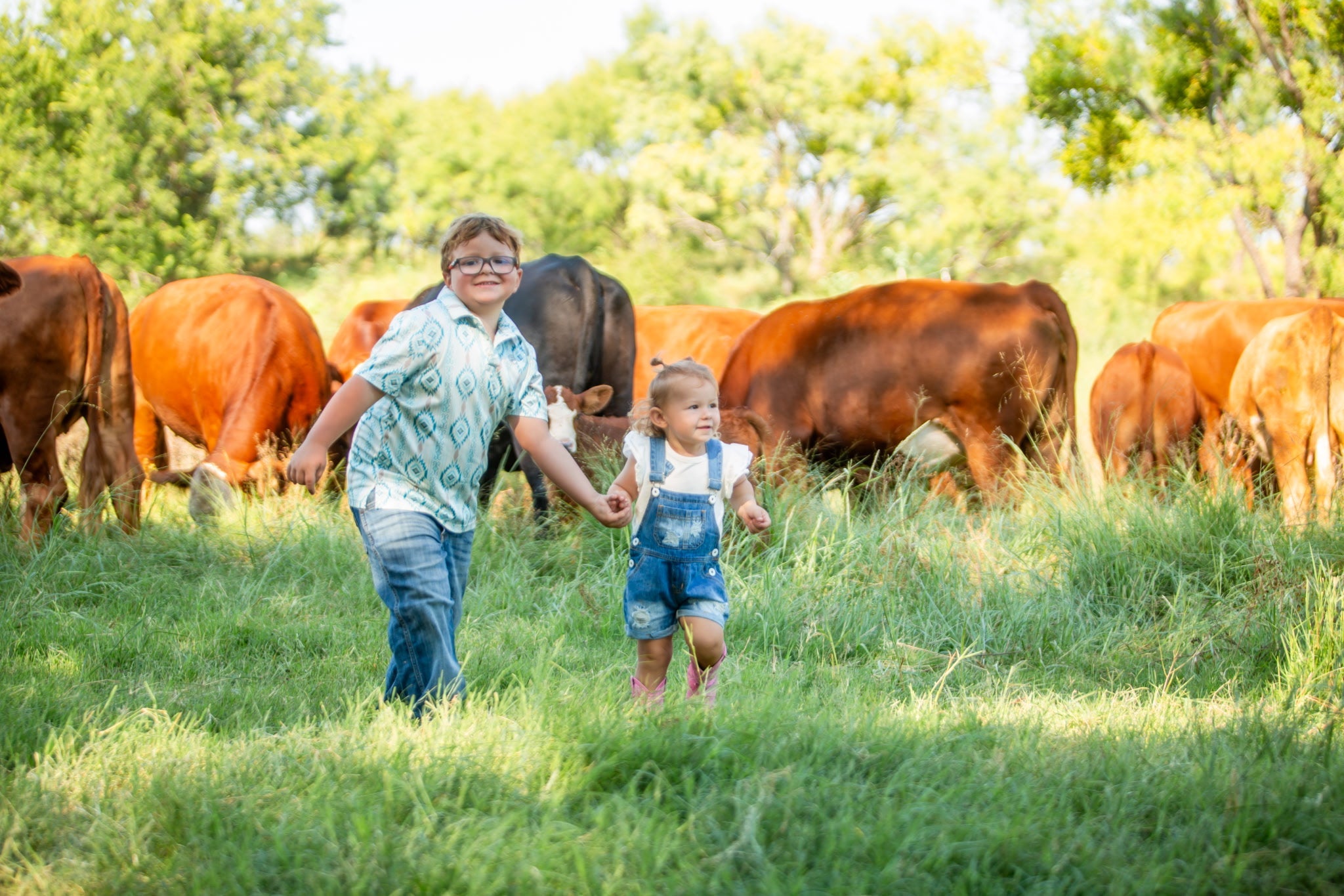 Why Our Beef Tastes Better Than Store-Bought